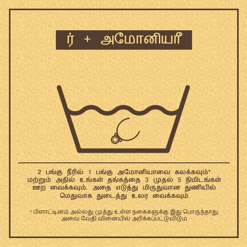 ஆலோசனை 1 – நீர் + அமோனியா