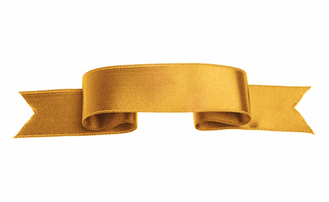 Pure 24 karat gold fabric Pure 24 karat gold fabric