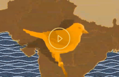 Gold history facts