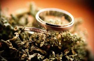 What is White Gold? Everything You Need to Know About its Making