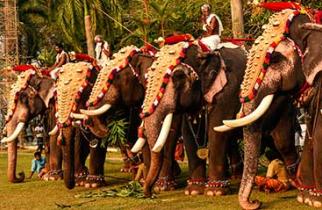 Know the Story Behind Why Thrissur is called the - Gold Capital of India
