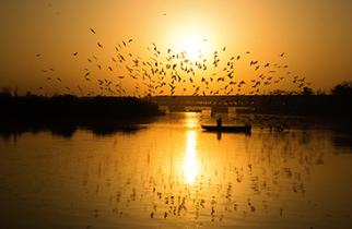Tale of India's rise to title of Sone Ki Chidiya