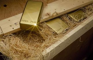 Understanding the gold standard